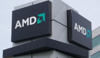 AMD深化布局 數百印度工程師加盟，瞄準AR/VR技術開發與服務新前沿